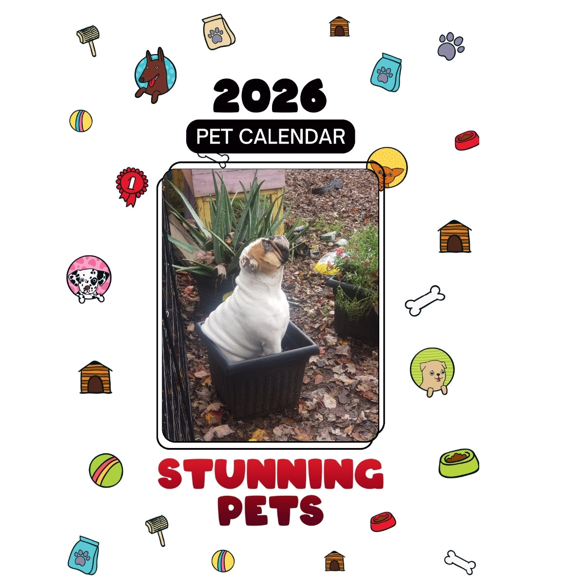 My 1.5Yr Old, English Bulldog Headlines Stunning Pets: A 2026 Pet Calendar