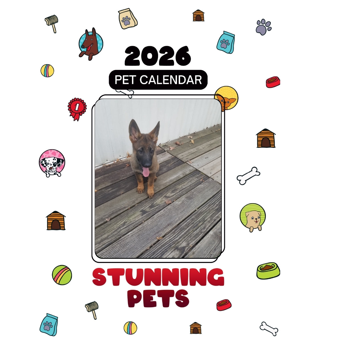 1 Headlines Stunning Pets: A 2026 Pet Calendar