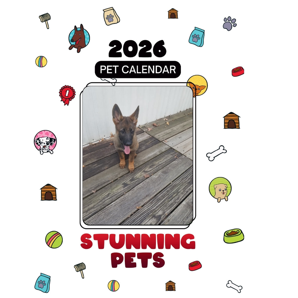 1 Headlines Stunning Pets: A 2026 Pet Calendar