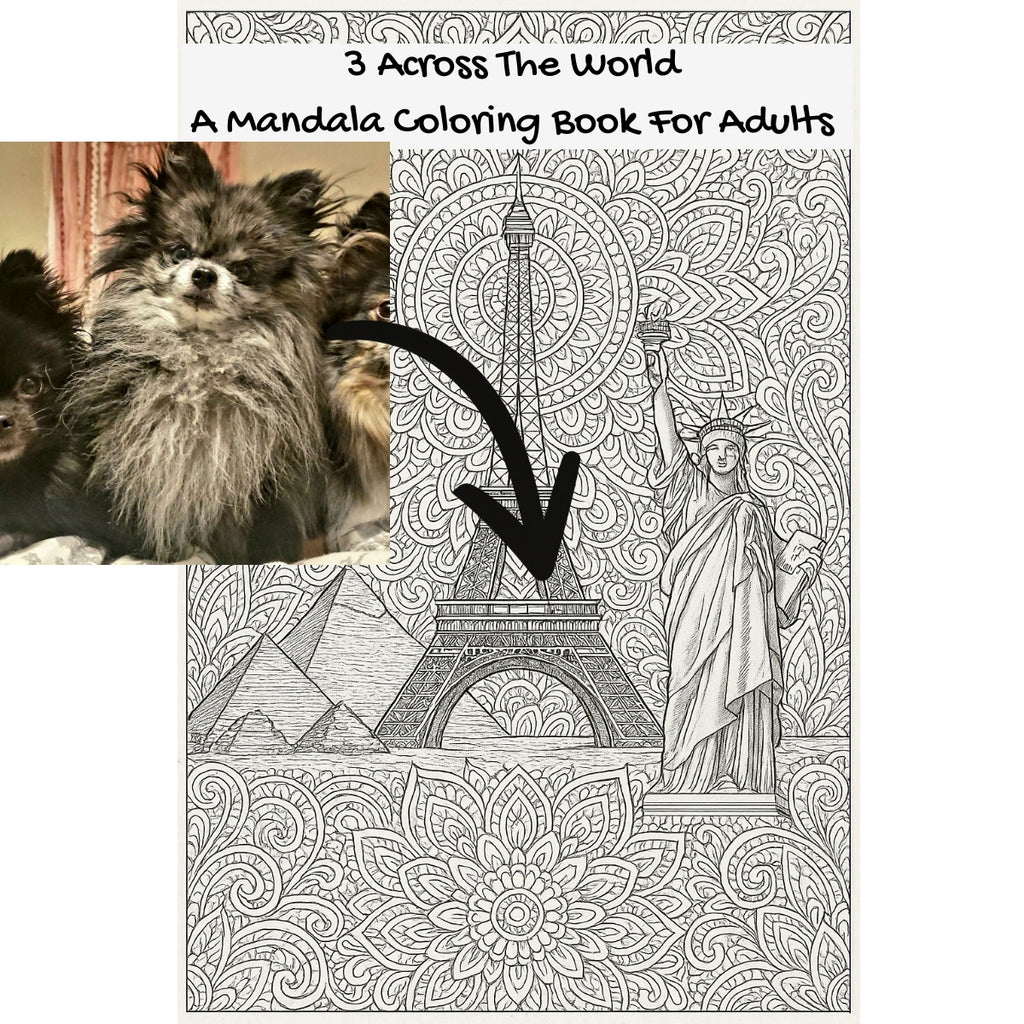 3 Across The World: A Mandala Coloring Book For Adults