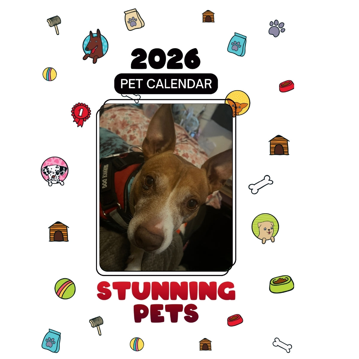 211 Leal Headlines Stunning Pets: A 2026 Pet Calendar