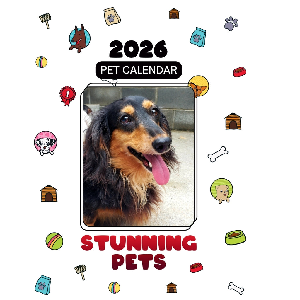 3 Headlines Stunning Pets: A 2026 Pet Calendar