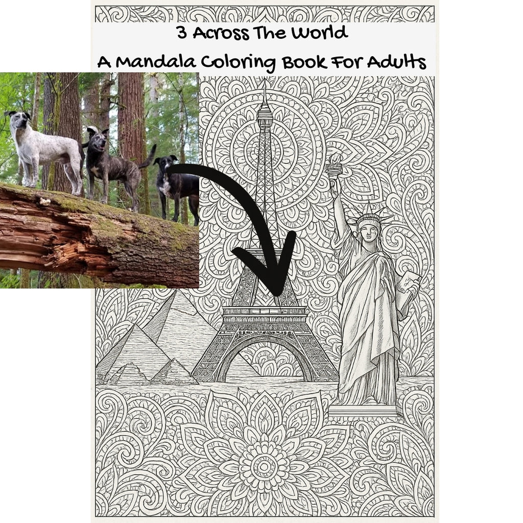 3 Across The World: A Mandala Coloring Book For Adults