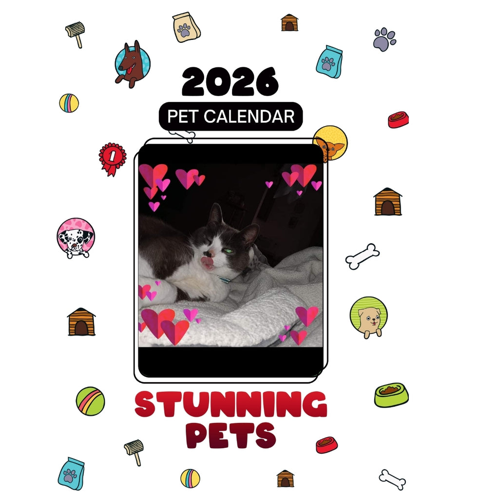 1St Pets Name Is Billie #2Is The Shitzu Her Names Moana Headlines Stunning Pets: A 2026 Pet Calendar