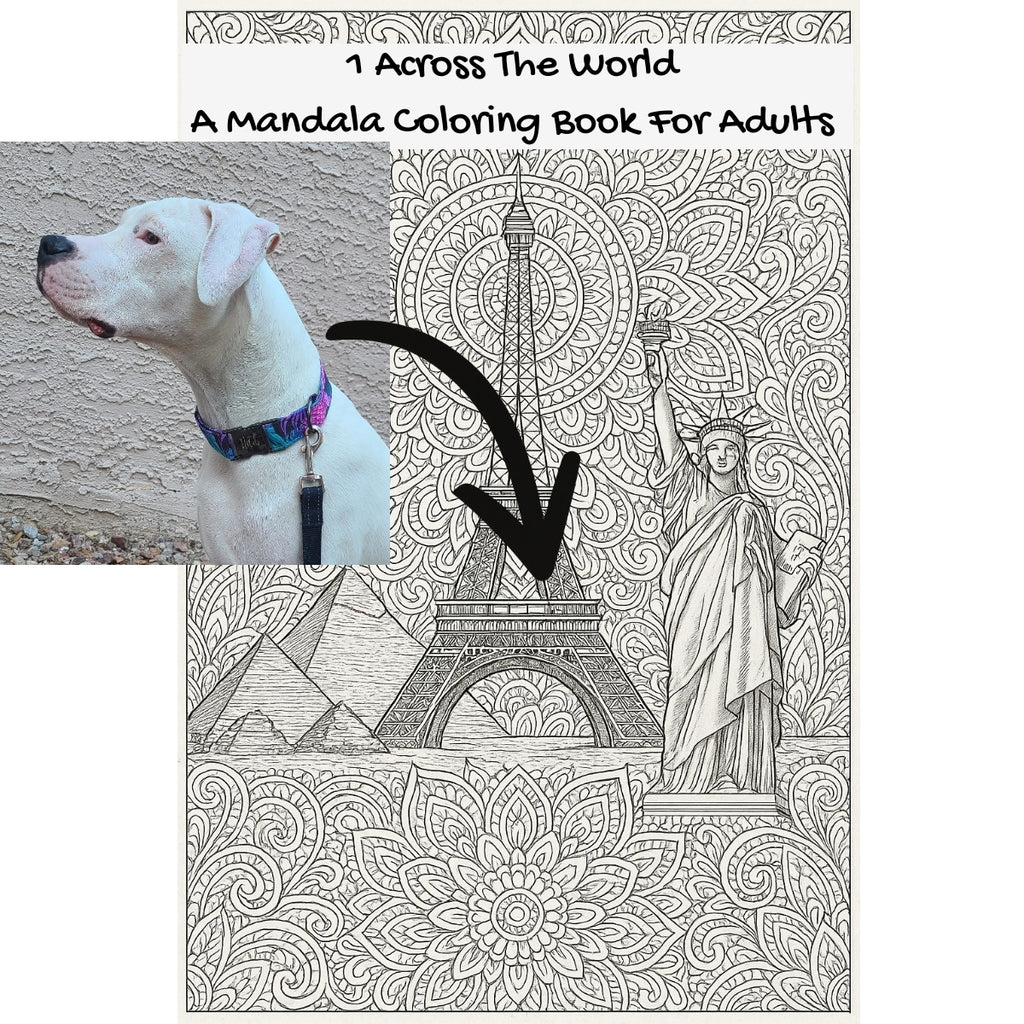1 Across The World: A Mandala Coloring Book For Adults