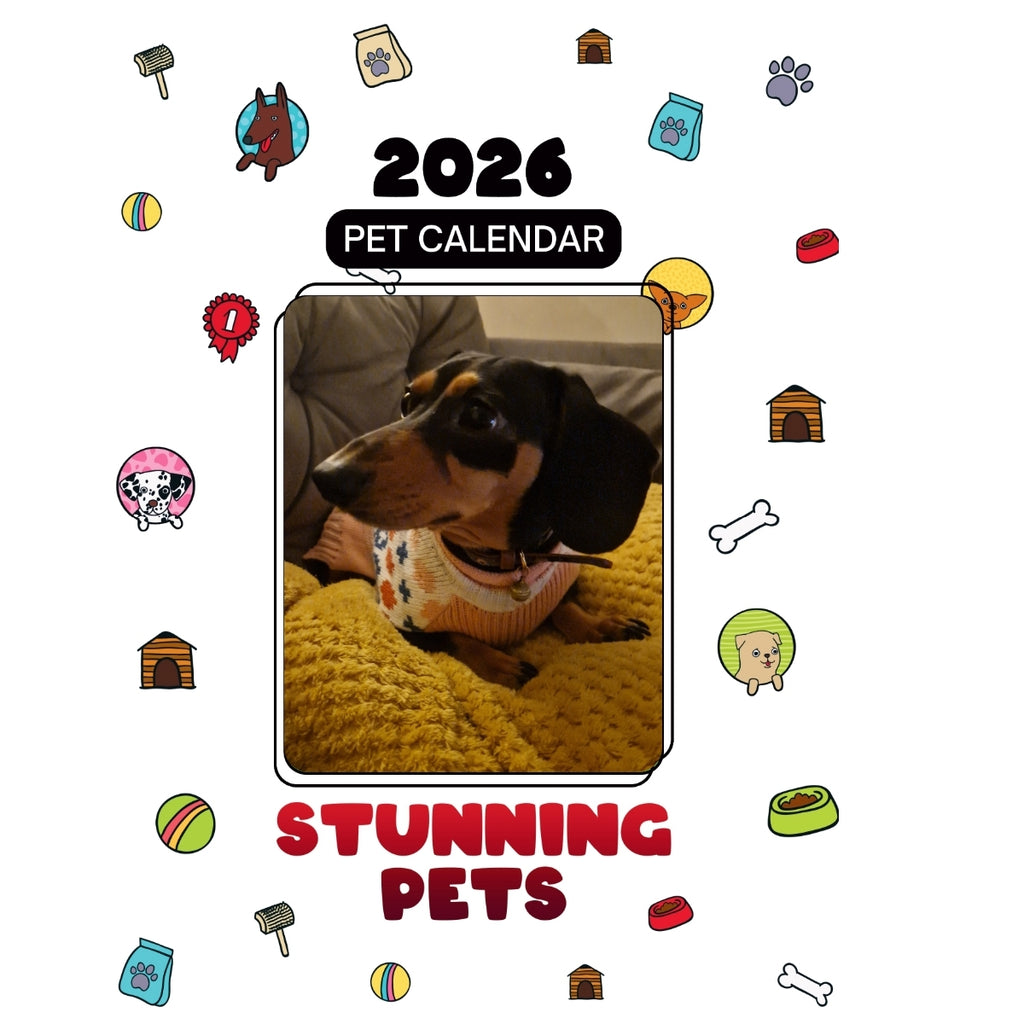 7542351567 Headlines Stunning Pets: A 2026 Pet Calendar