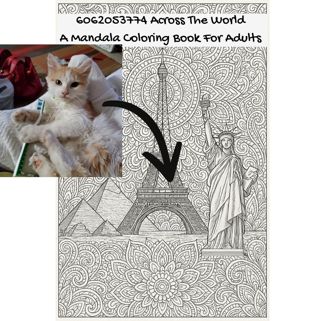 6062053774 Across The World: A Mandala Coloring Book For Adults