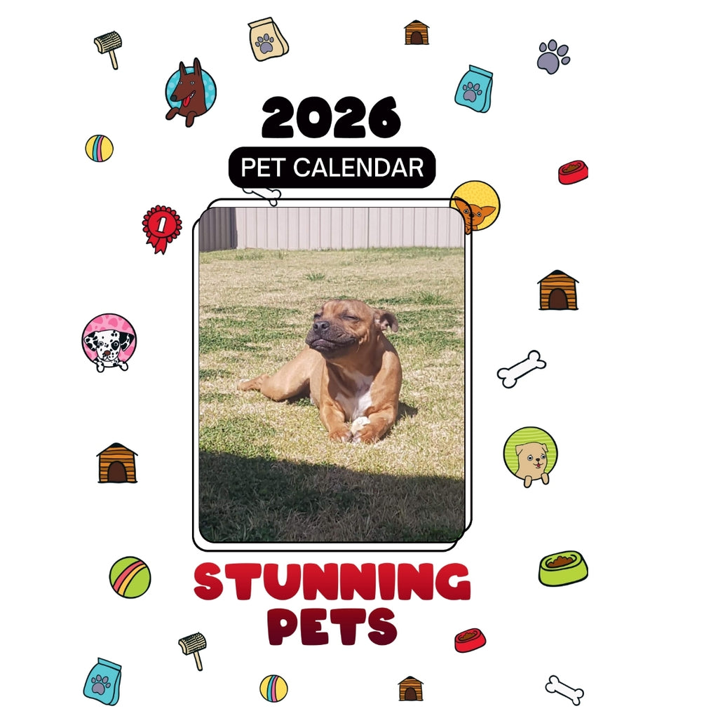 1 Headlines Stunning Pets: A 2026 Pet Calendar