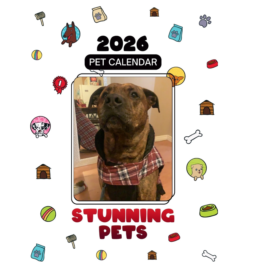 A Bull Mastiff Cross Headlines Stunning Pets: A 2026 Pet Calendar