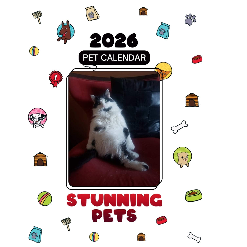 1 Headlines Stunning Pets: A 2026 Pet Calendar