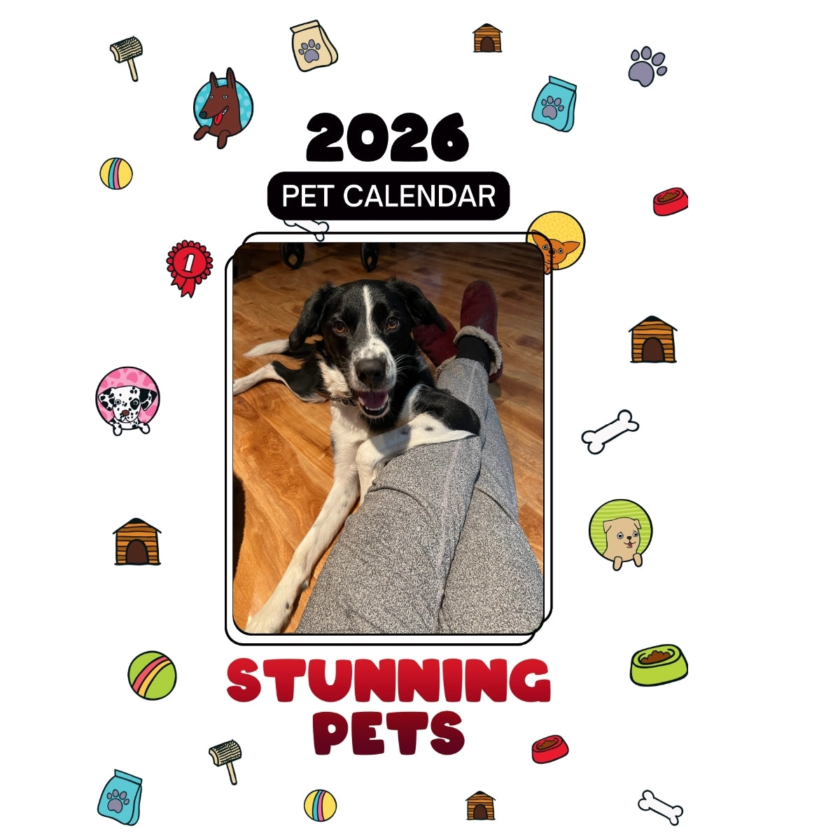 1 Headlines Stunning Pets: A 2026 Pet Calendar