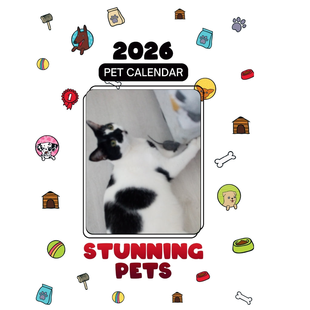 1 Headlines Stunning Pets: A 2026 Pet Calendar