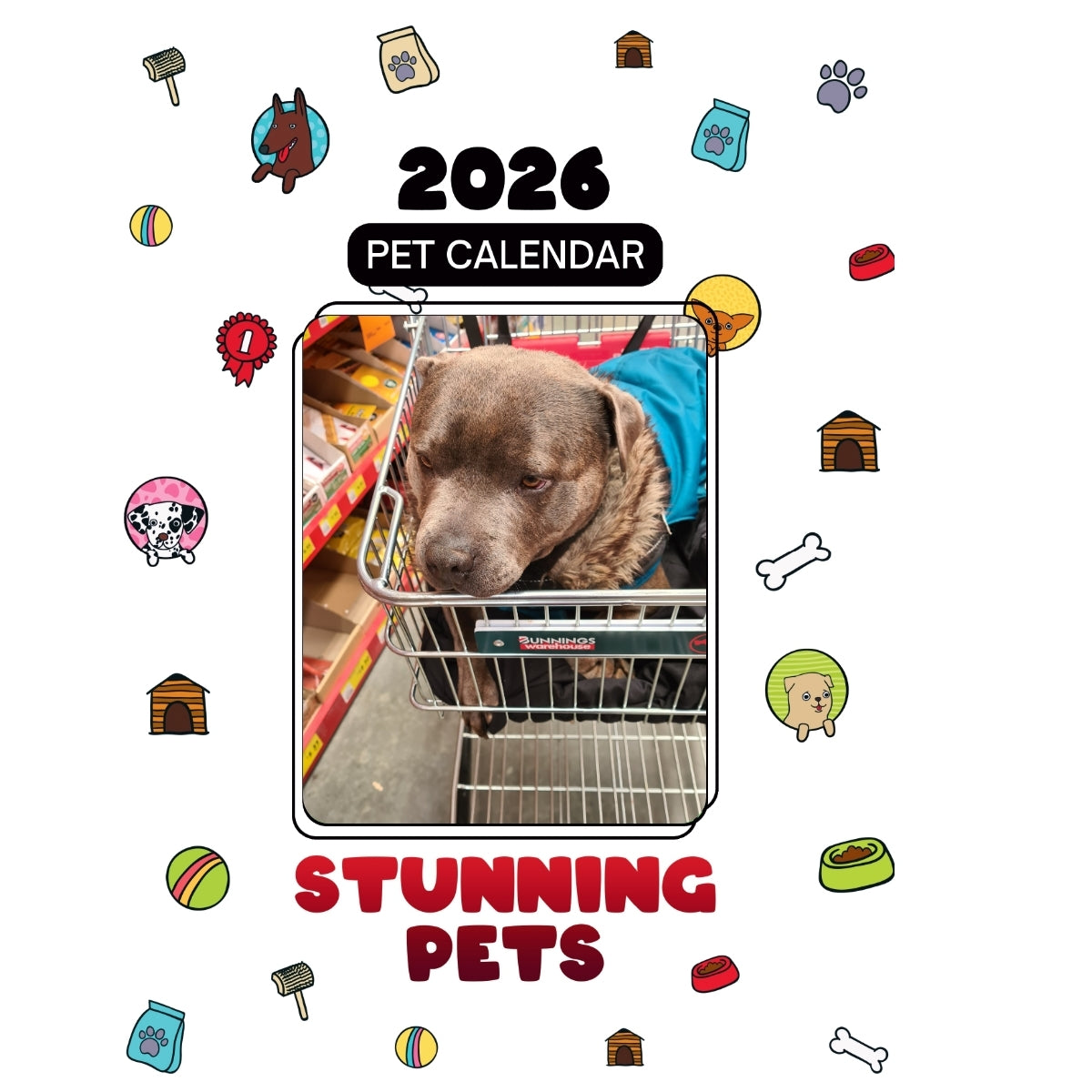 484038004 Headlines Stunning Pets: A 2026 Pet Calendar