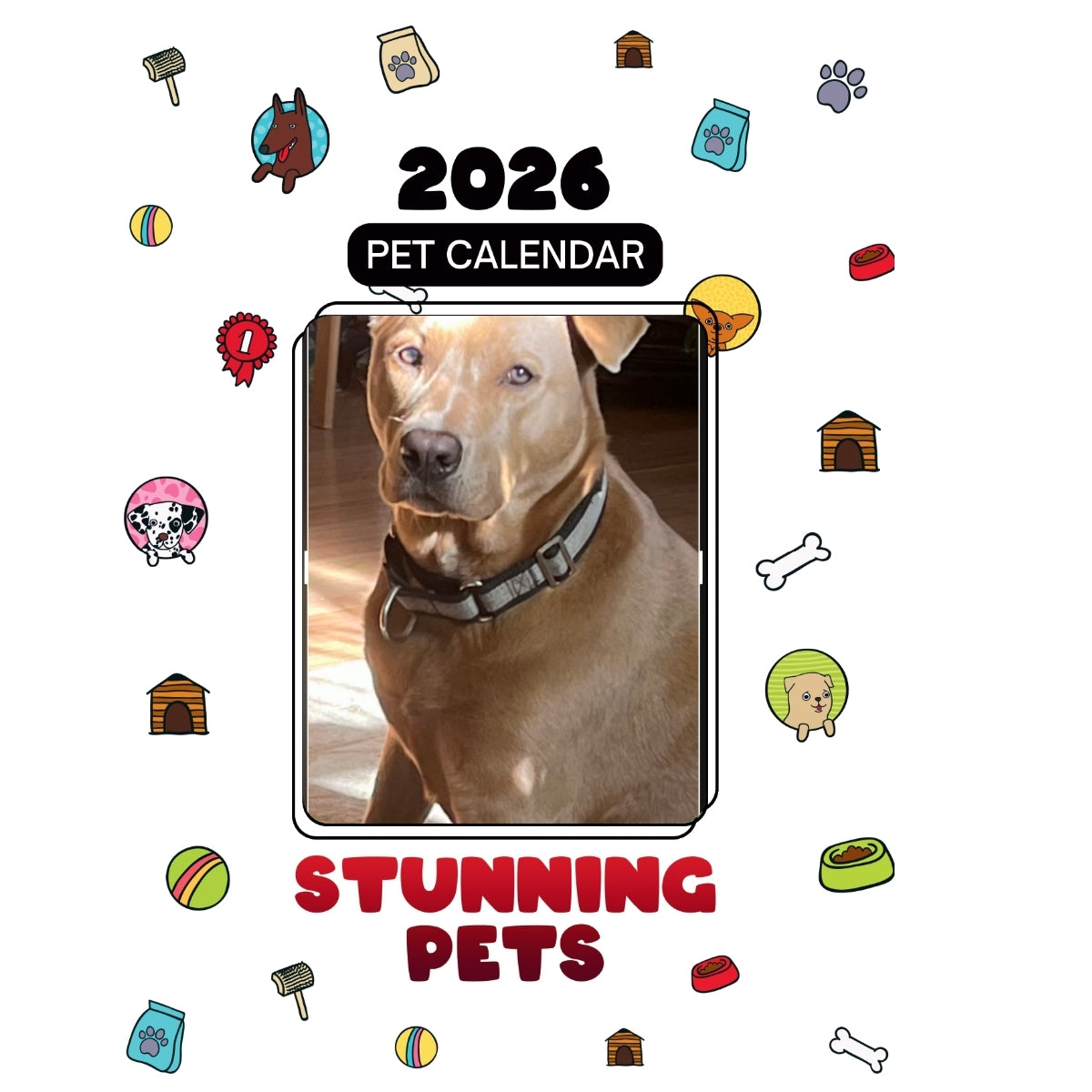 5404406385 Headlines Stunning Pets: A 2026 Pet Calendar