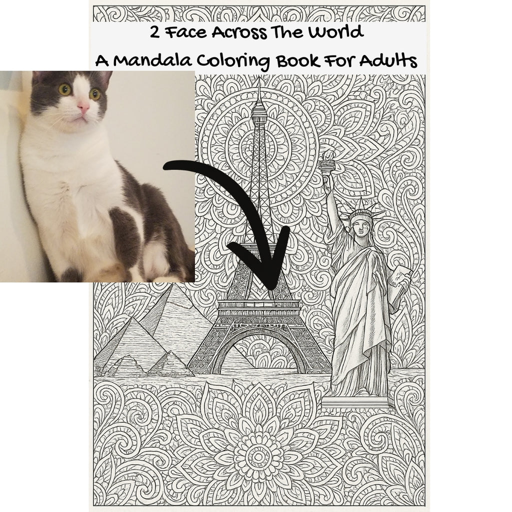 2 Face Across The World: A Mandala Coloring Book For Adults