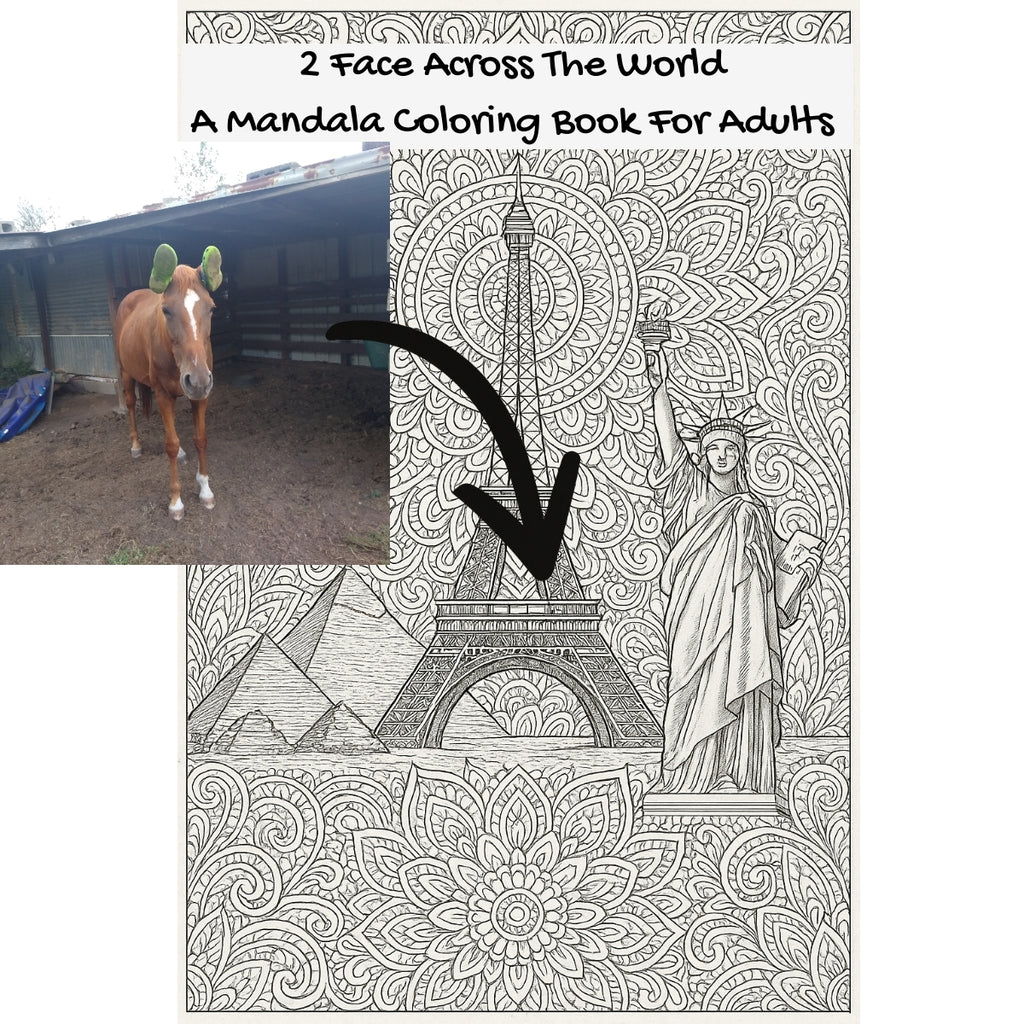 2 Face Across The World: A Mandala Coloring Book For Adults