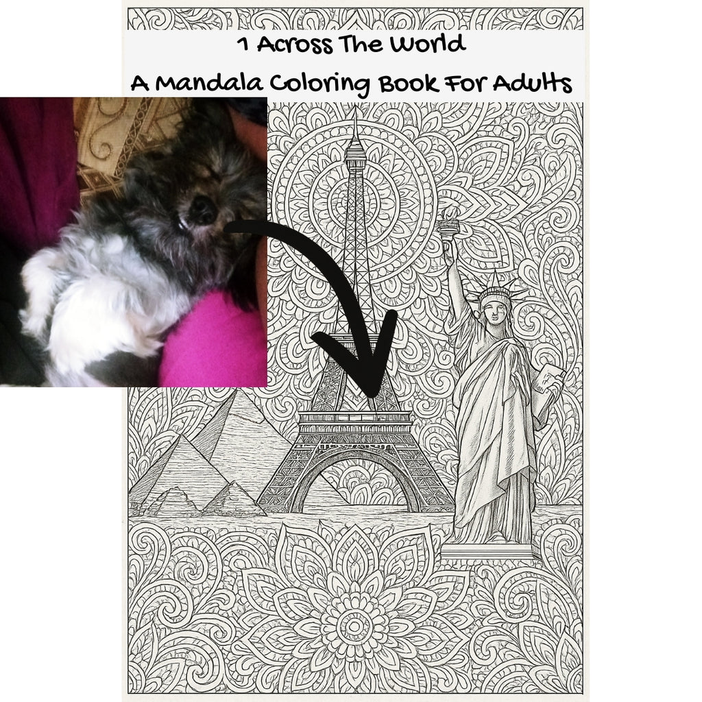 1 Across The World: A Mandala Coloring Book For Adults