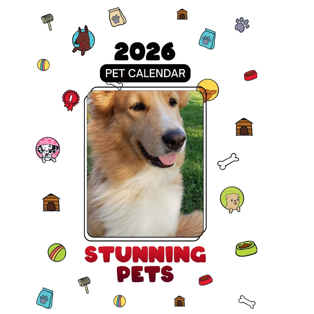 1 Headlines Stunning Pets: A 2026 Pet Calendar