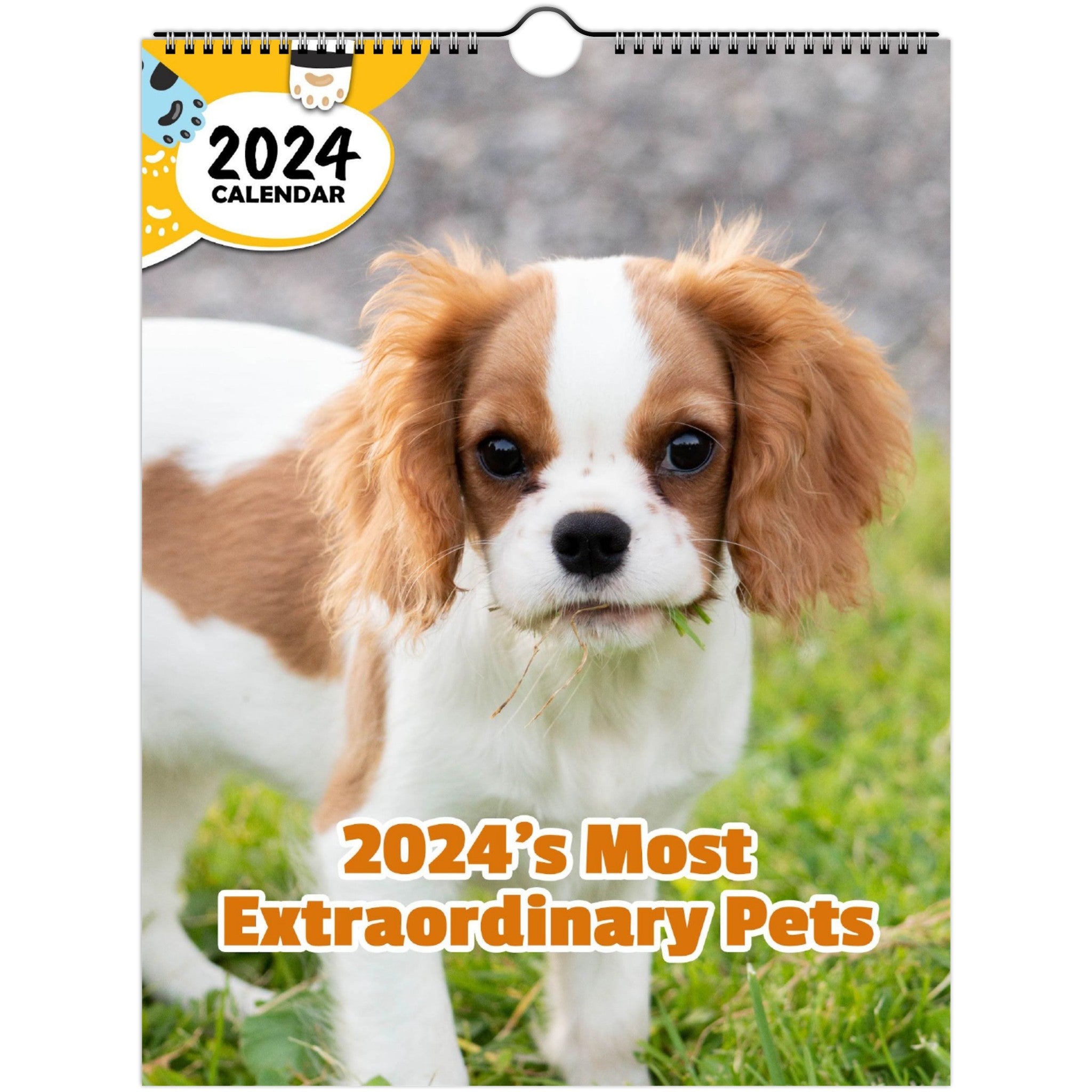 2024's Most Extraordinary Pets: 2024 Wall Calendar (Published)