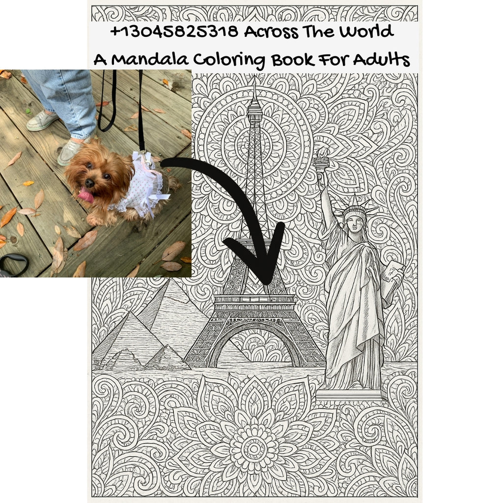 +13045825318 Across The World: A Mandala Coloring Book For Adults