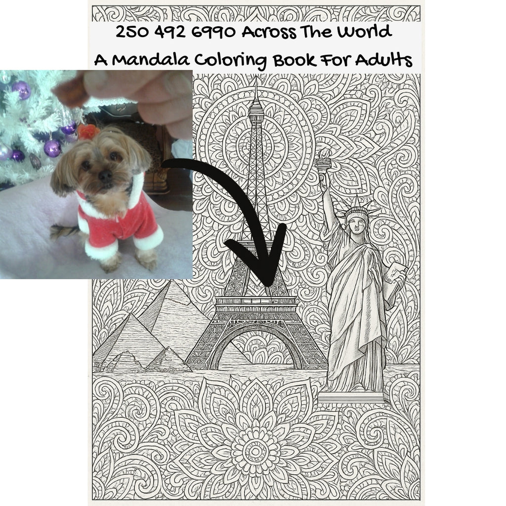 250 492 6990 Across The World: A Mandala Coloring Book For Adults