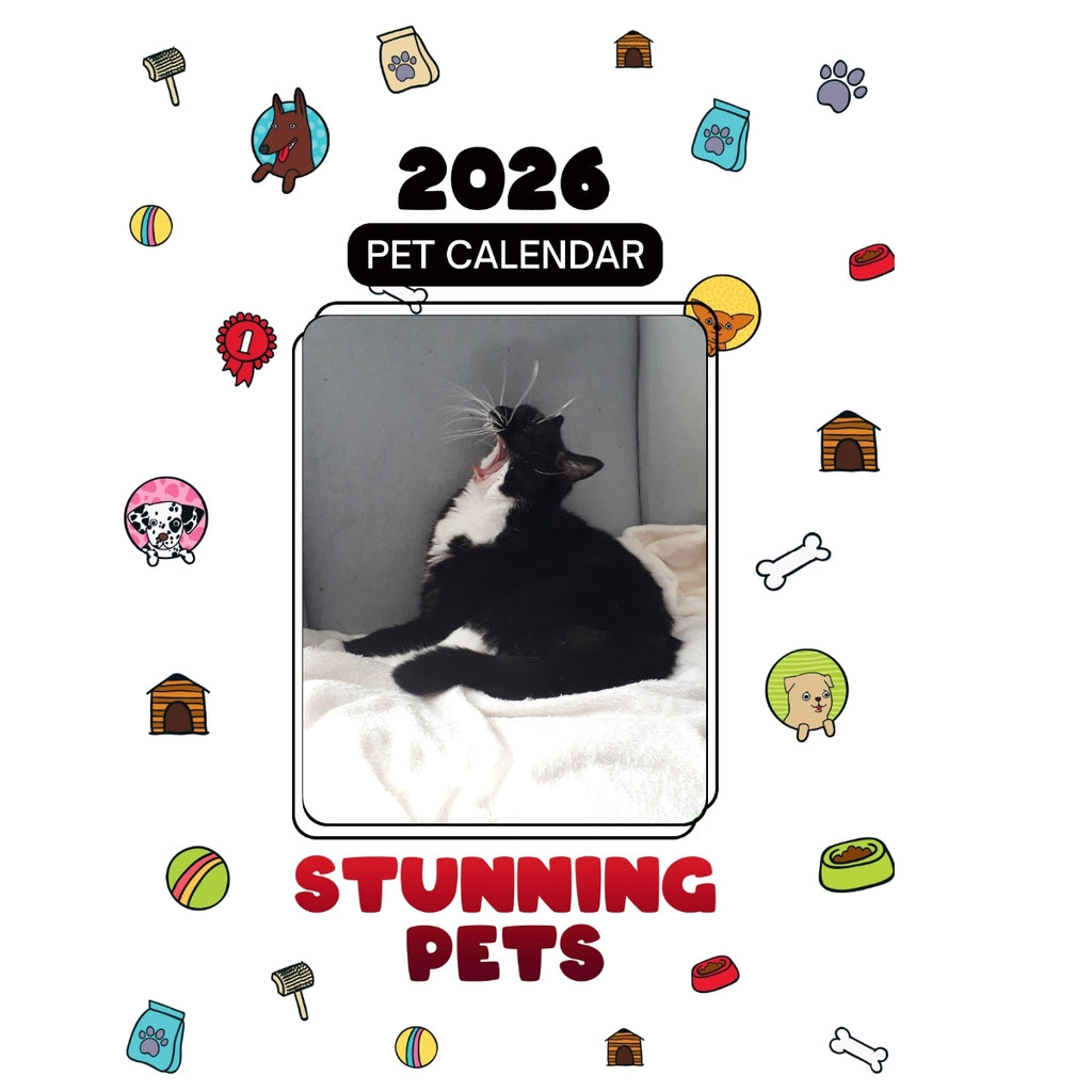 1 Headlines Stunning Pets: A 2026 Pet Calendar