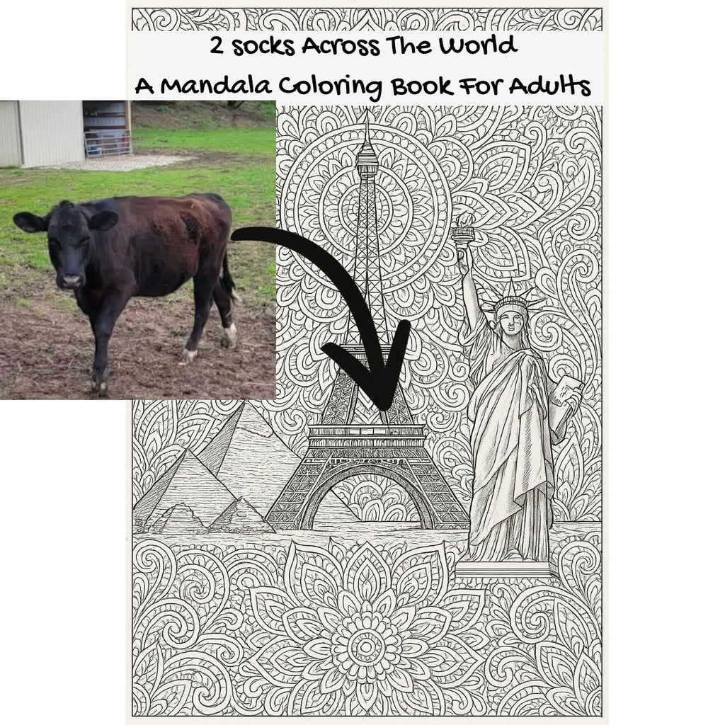 2 socks Across The World: A Mandala Coloring Book For Adults