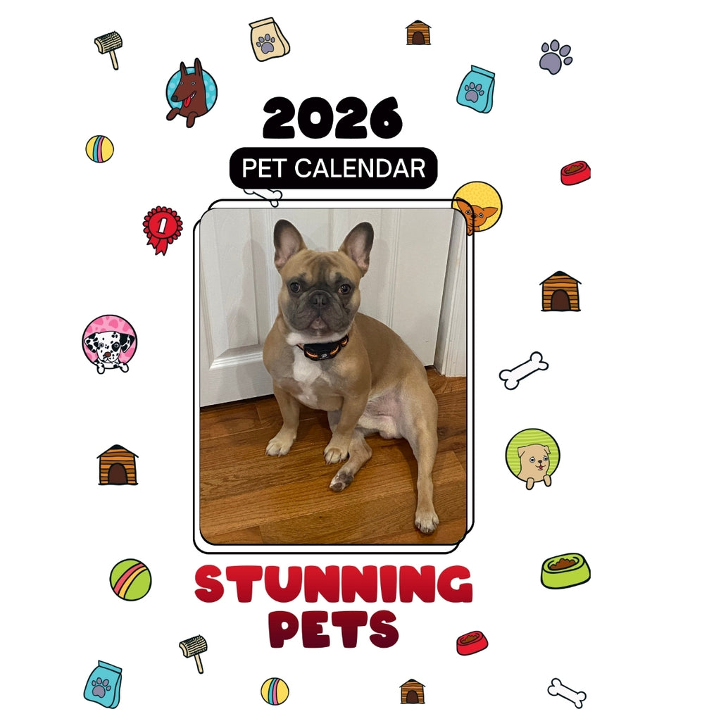 1 Headlines Stunning Pets: A 2026 Pet Calendar