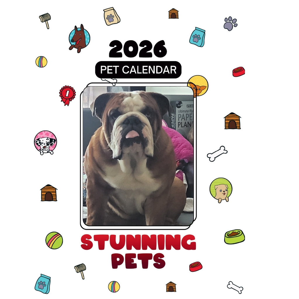 Jjthecelebritybulldog Headlines Stunning Pets: A 2026 Pet Calendar