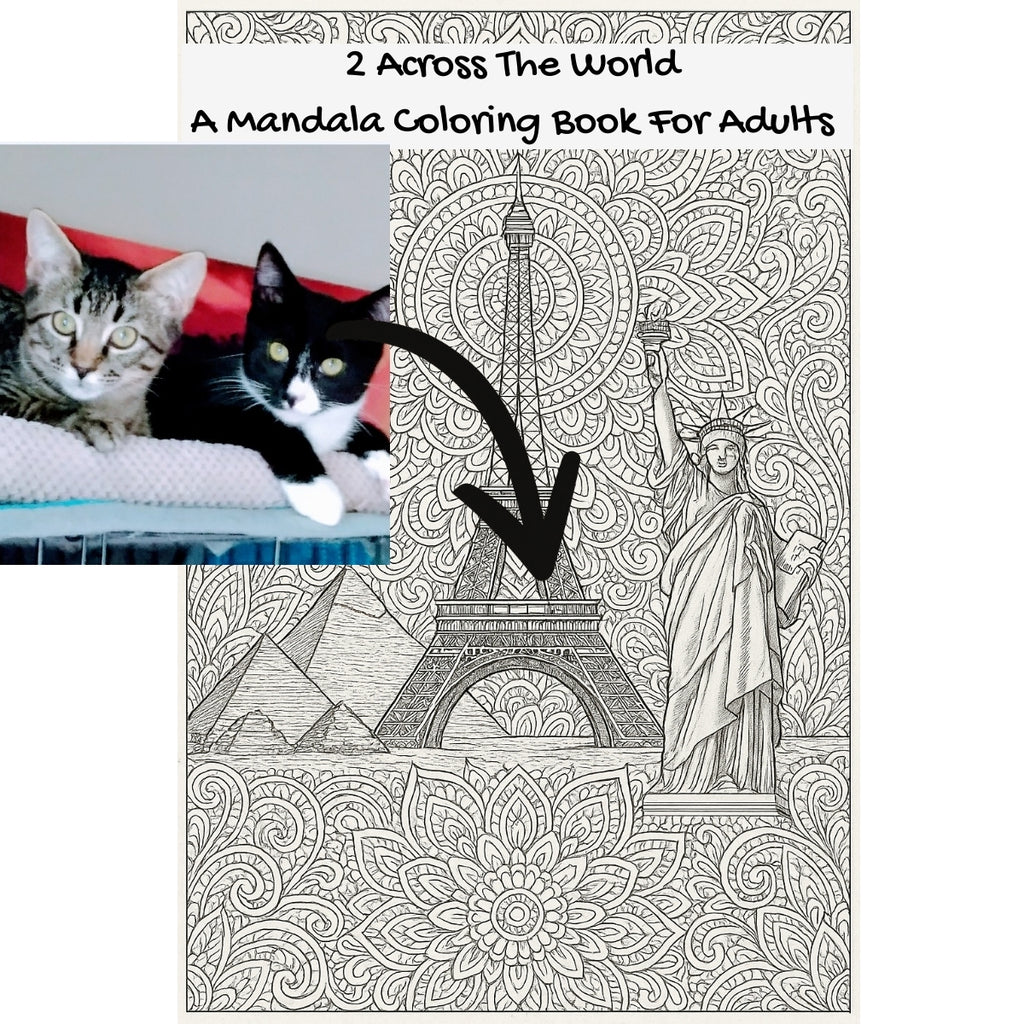 2 Across The World: A Mandala Coloring Book For Adults