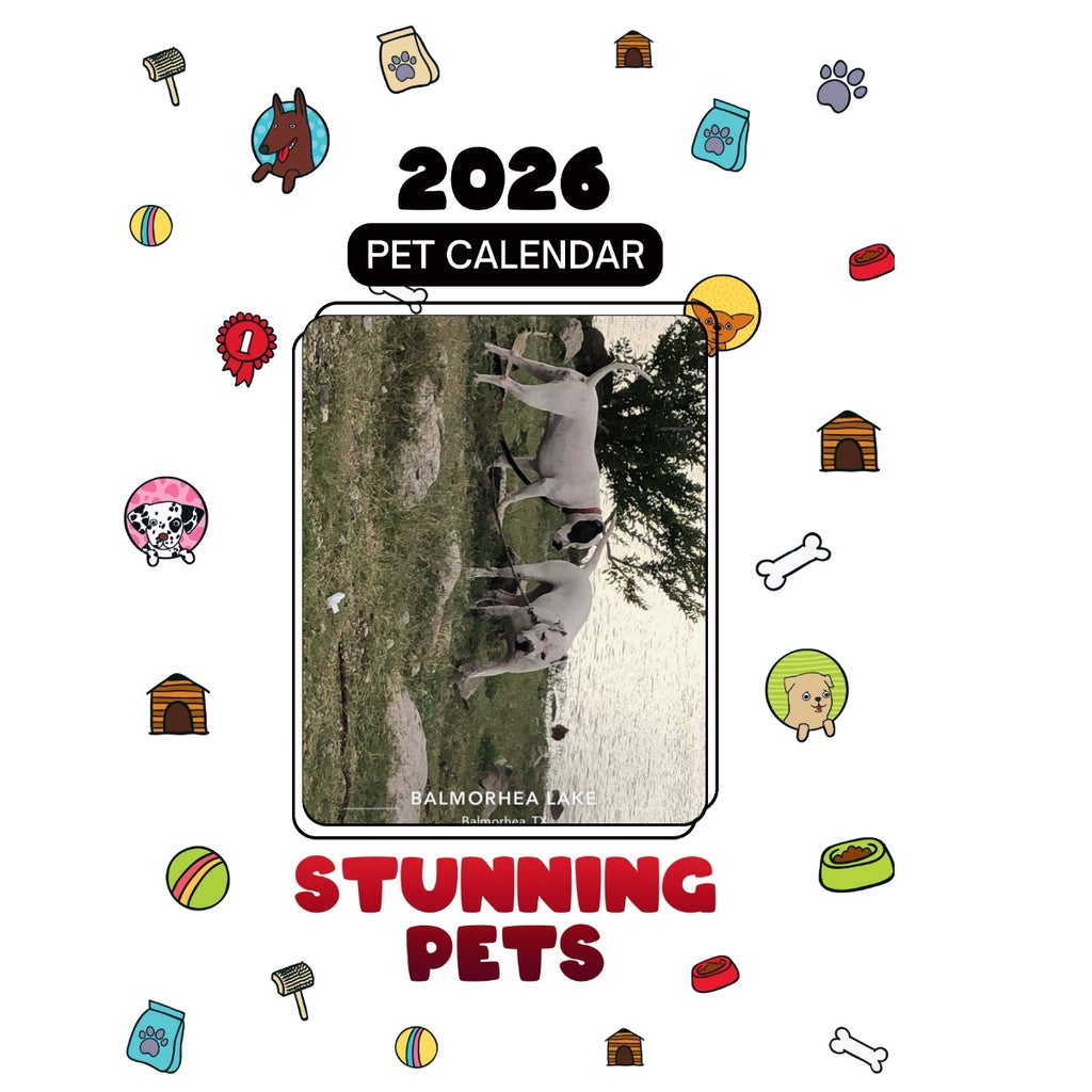 2 Headlines Stunning Pets: A 2026 Pet Calendar