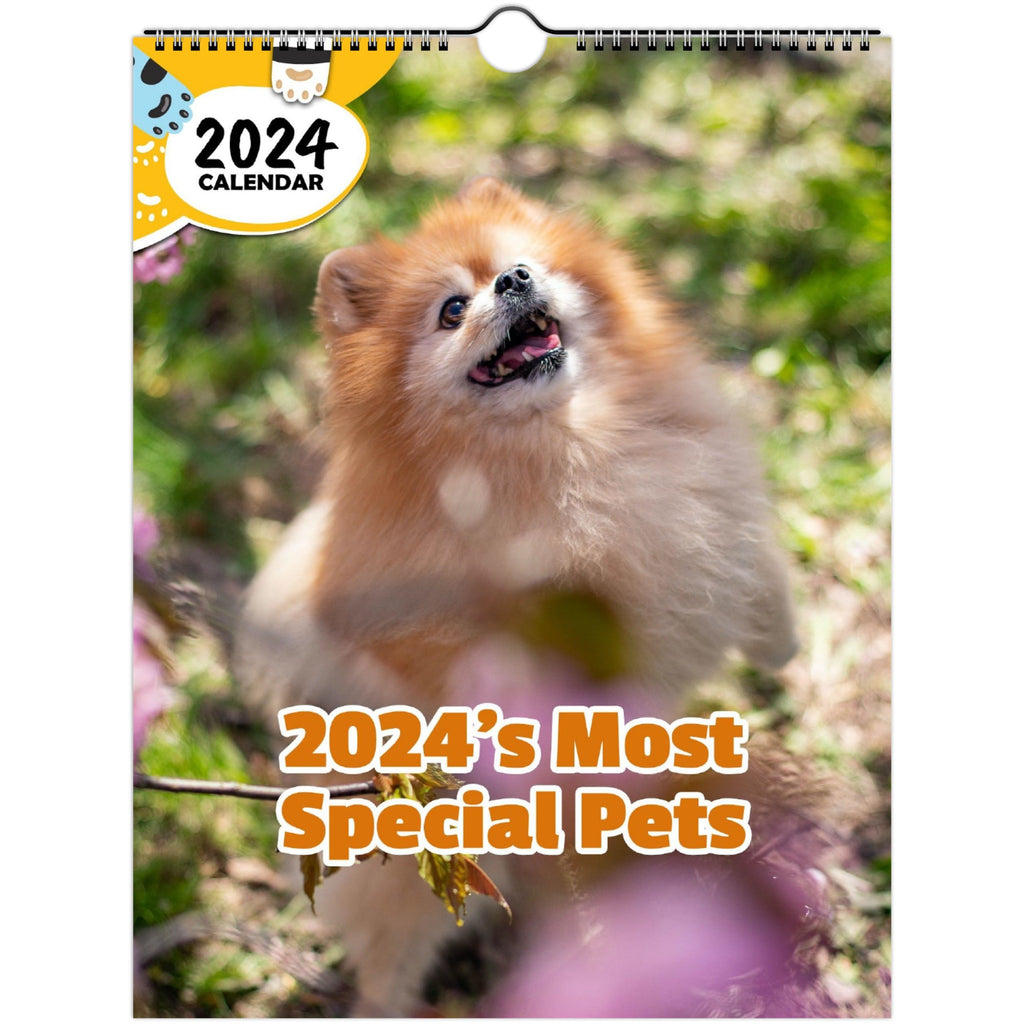2024's Most Special Pets: 2024 Wall Calendar (Published)