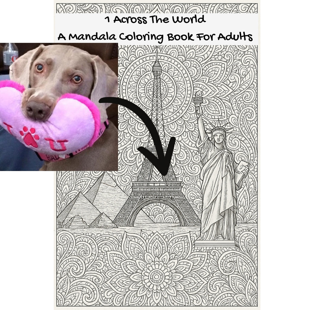 1 Across The World: A Mandala Coloring Book For Adults