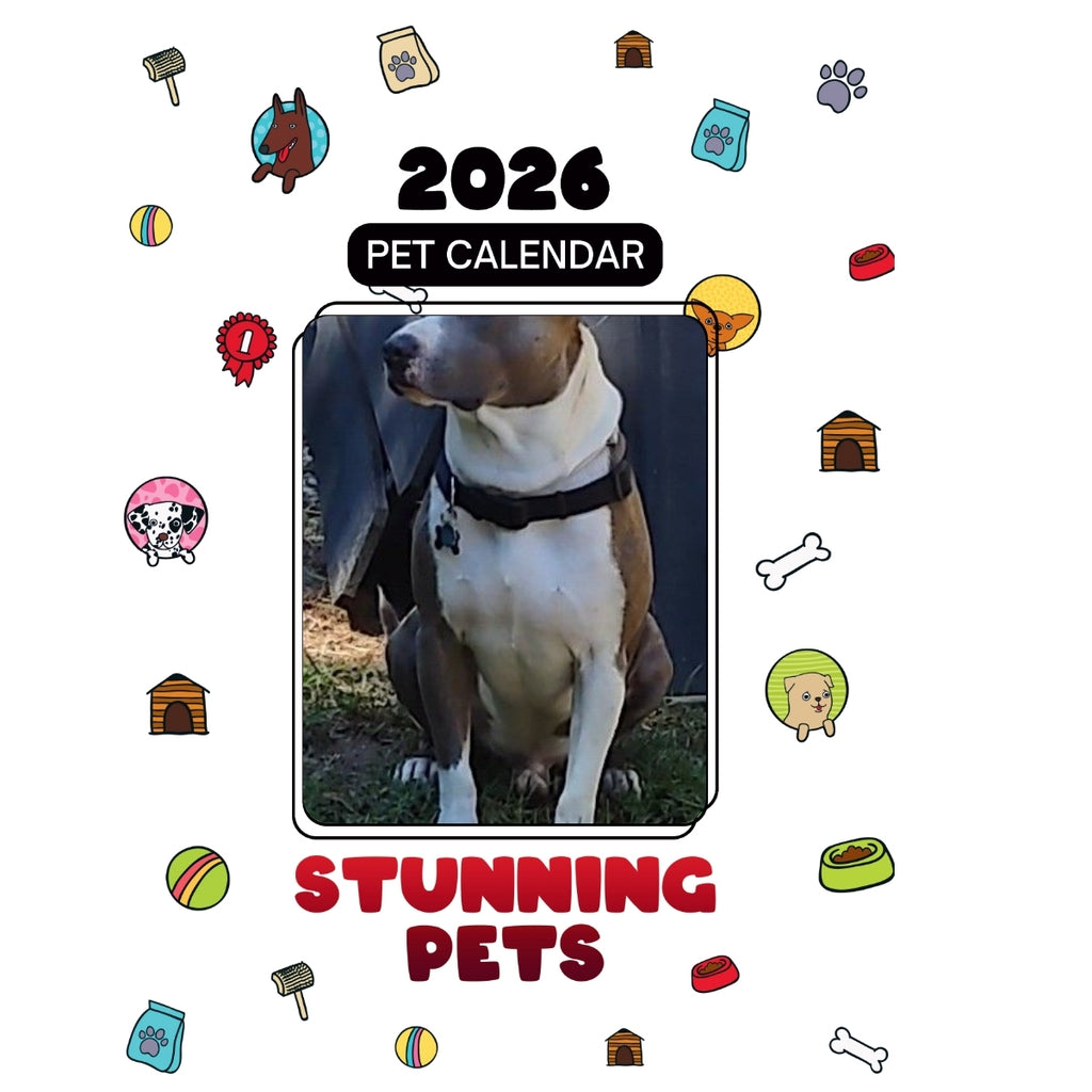 BullDog Stars in Stunning Pets: A 2026 Pet Calendar