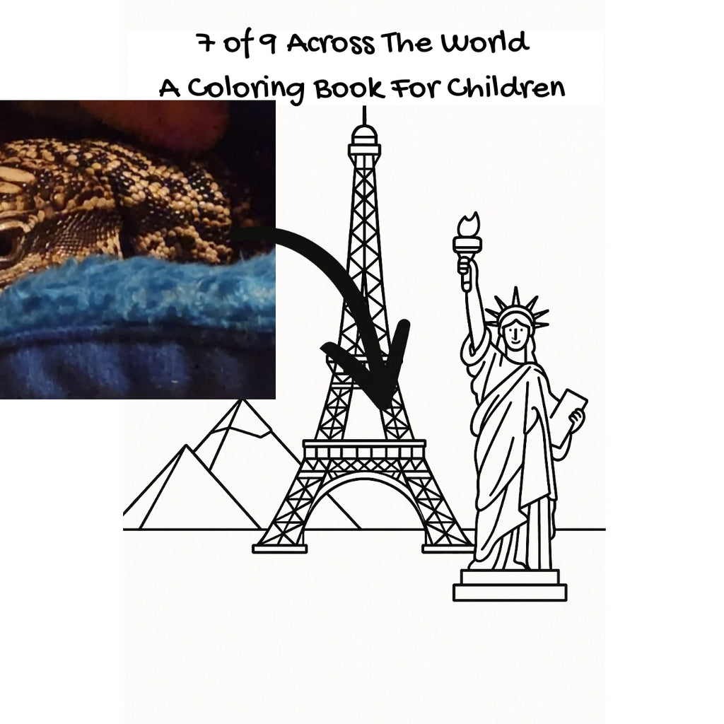 7 of 9 Across The World: A Coloring Book For Children