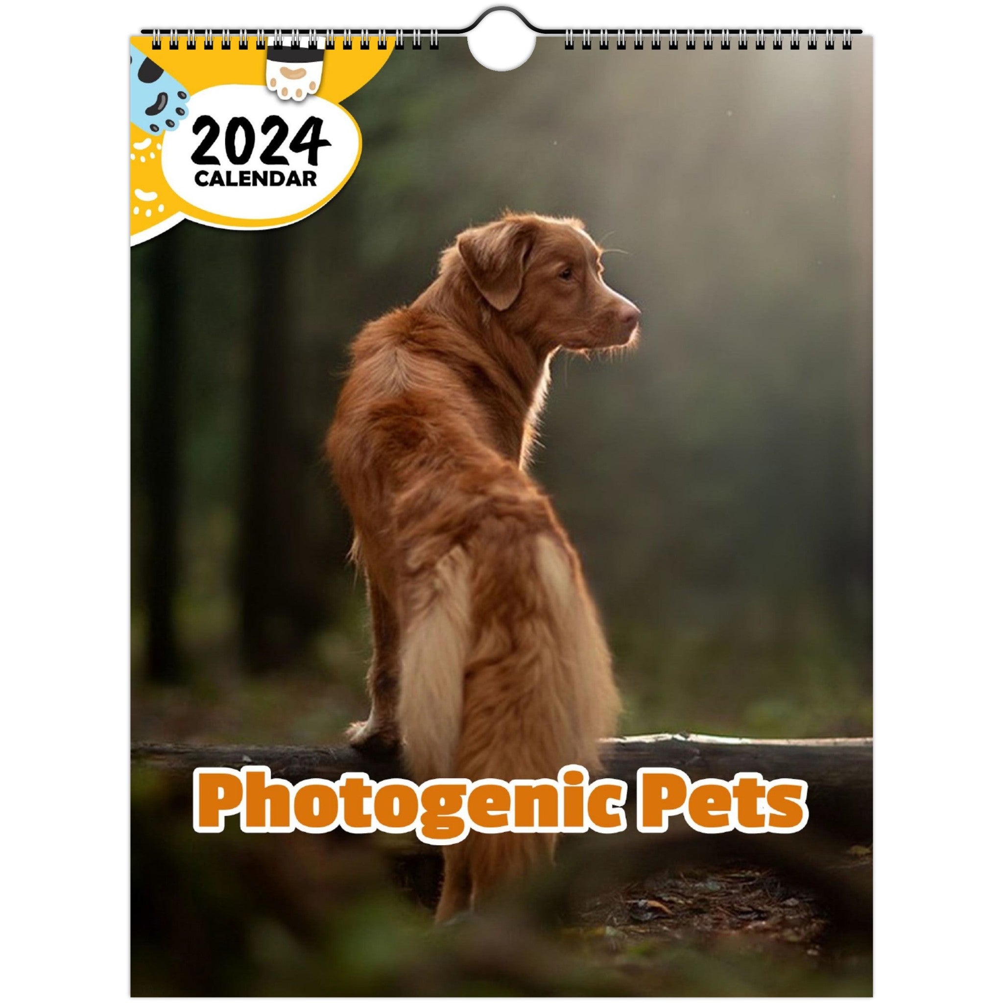 Photogenic Pets: 2024 Wall Calendar (Published) – Praise My Pet!