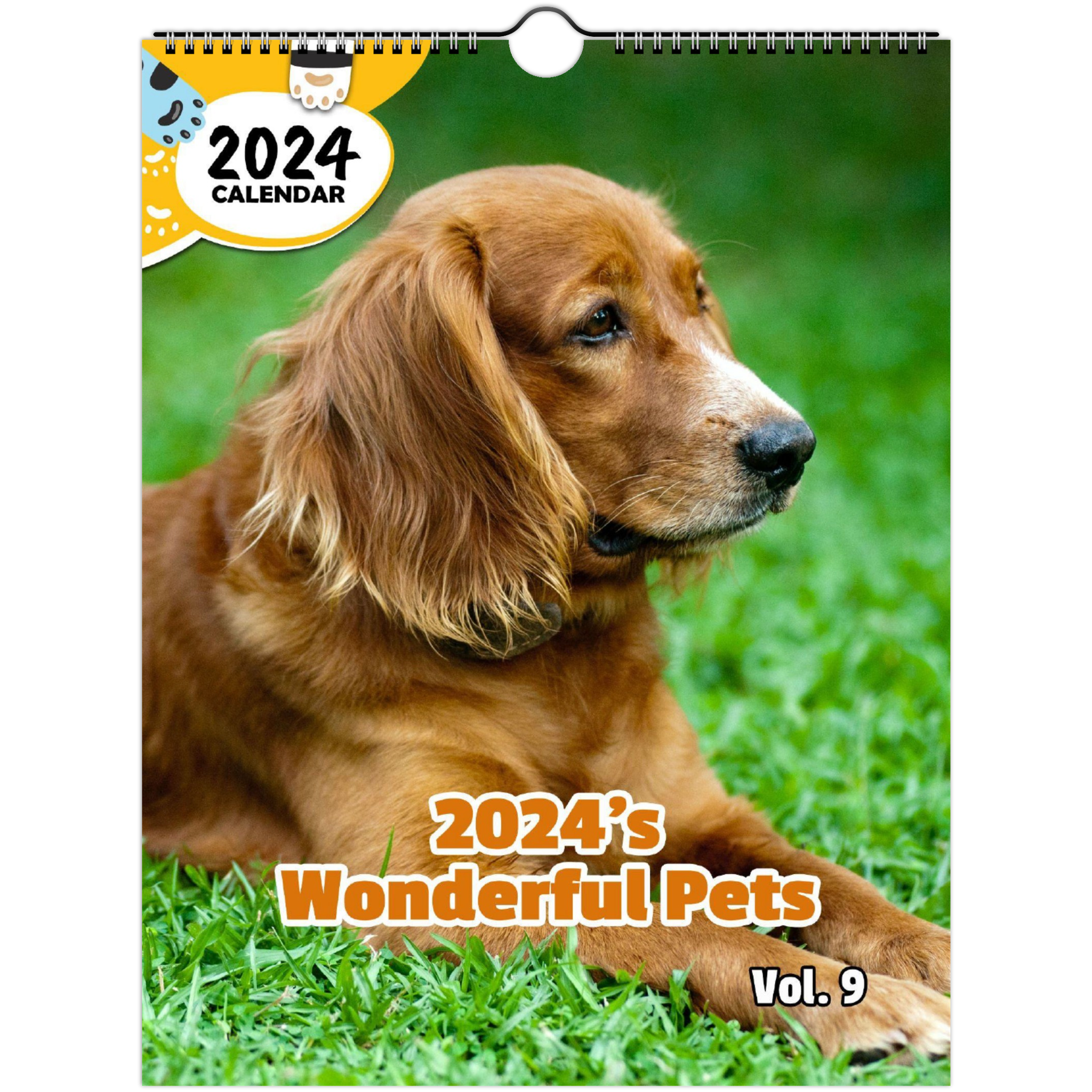 2024's Wonderful Pets Volume Nine: 2024 Wall Calendar (Published)