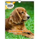 Amazing Pets: 2024 Wall Calendar (Published)