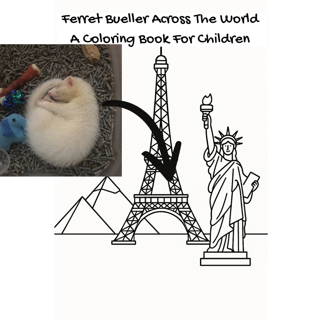 Ferret Bueller Across The World: A Coloring Book For Children