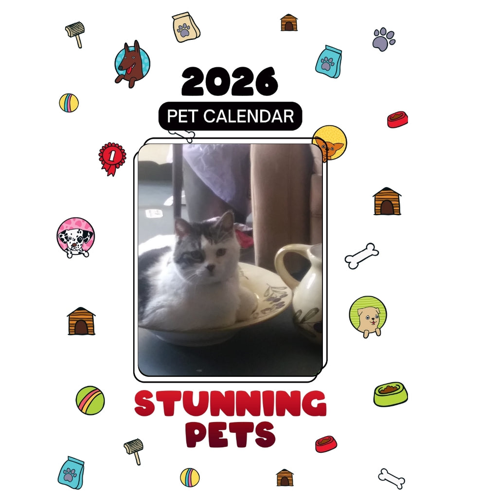 1 Headlines Stunning Pets: A 2026 Pet Calendar