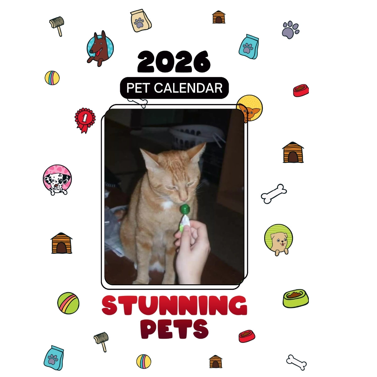 1 Headlines Stunning Pets: A 2026 Pet Calendar