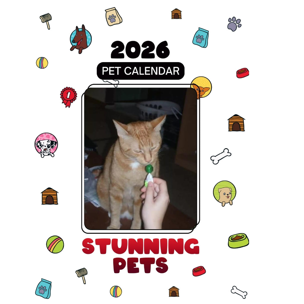 1 Headlines Stunning Pets: A 2026 Pet Calendar