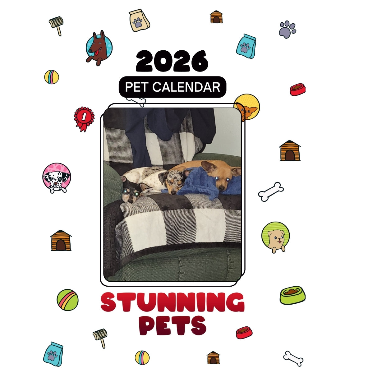 2Sox, Bella, Harley, and Scarlett Headlines Stunning Pets: A 2026 Pet Calendar