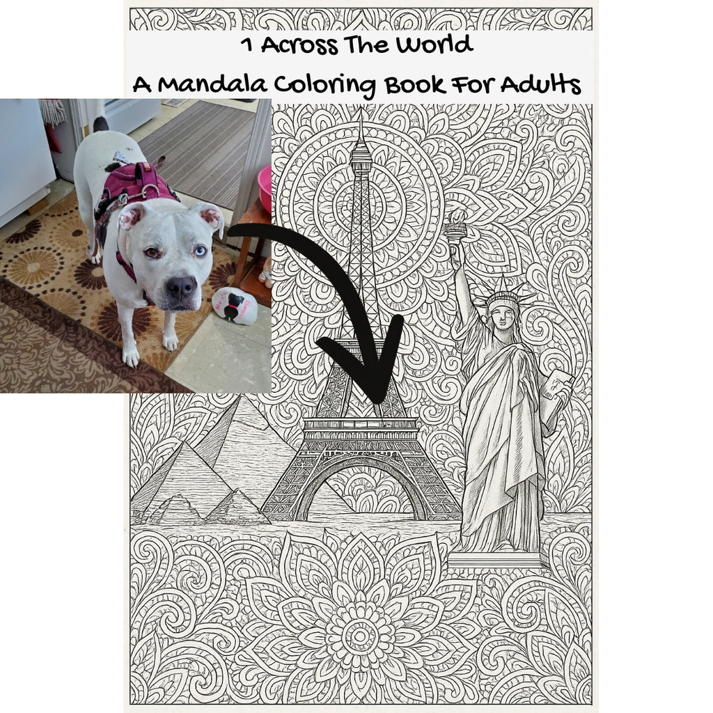 1 Across The World: A Mandala Coloring Book For Adults
