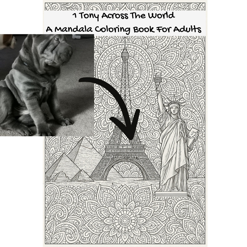 1 Tony Across The World: A Mandala Coloring Book For Adults