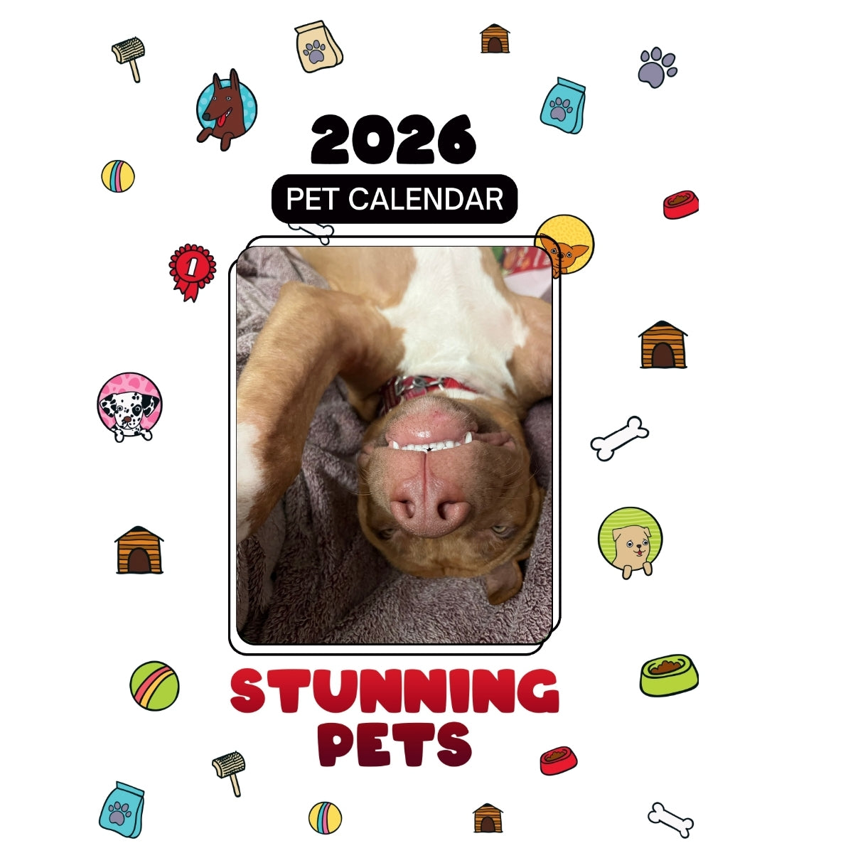 5Ive Headlines Stunning Pets: A 2026 Pet Calendar