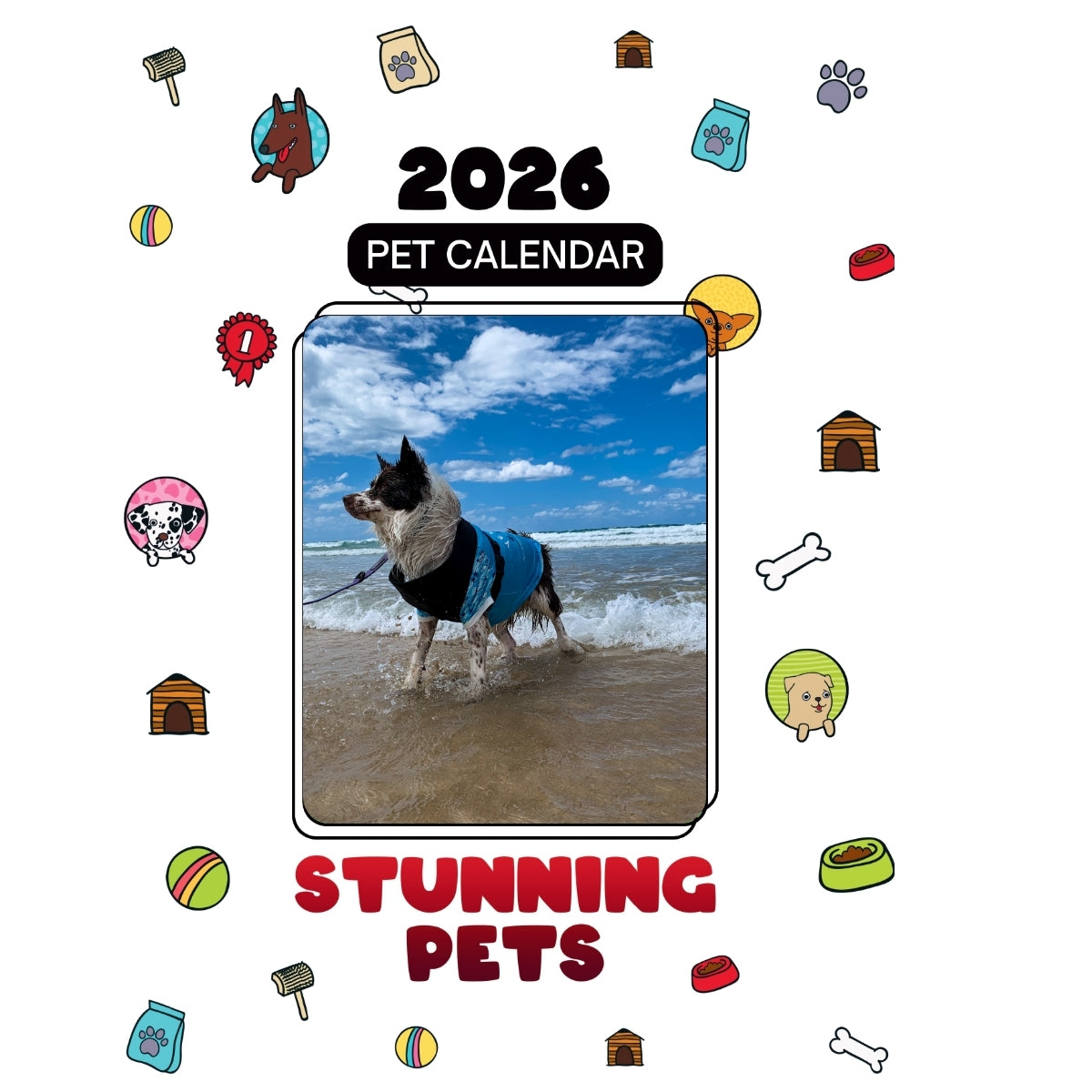 1 bordercollie named “Bear” Headlines Stunning Pets: A 2026 Pet Calendar