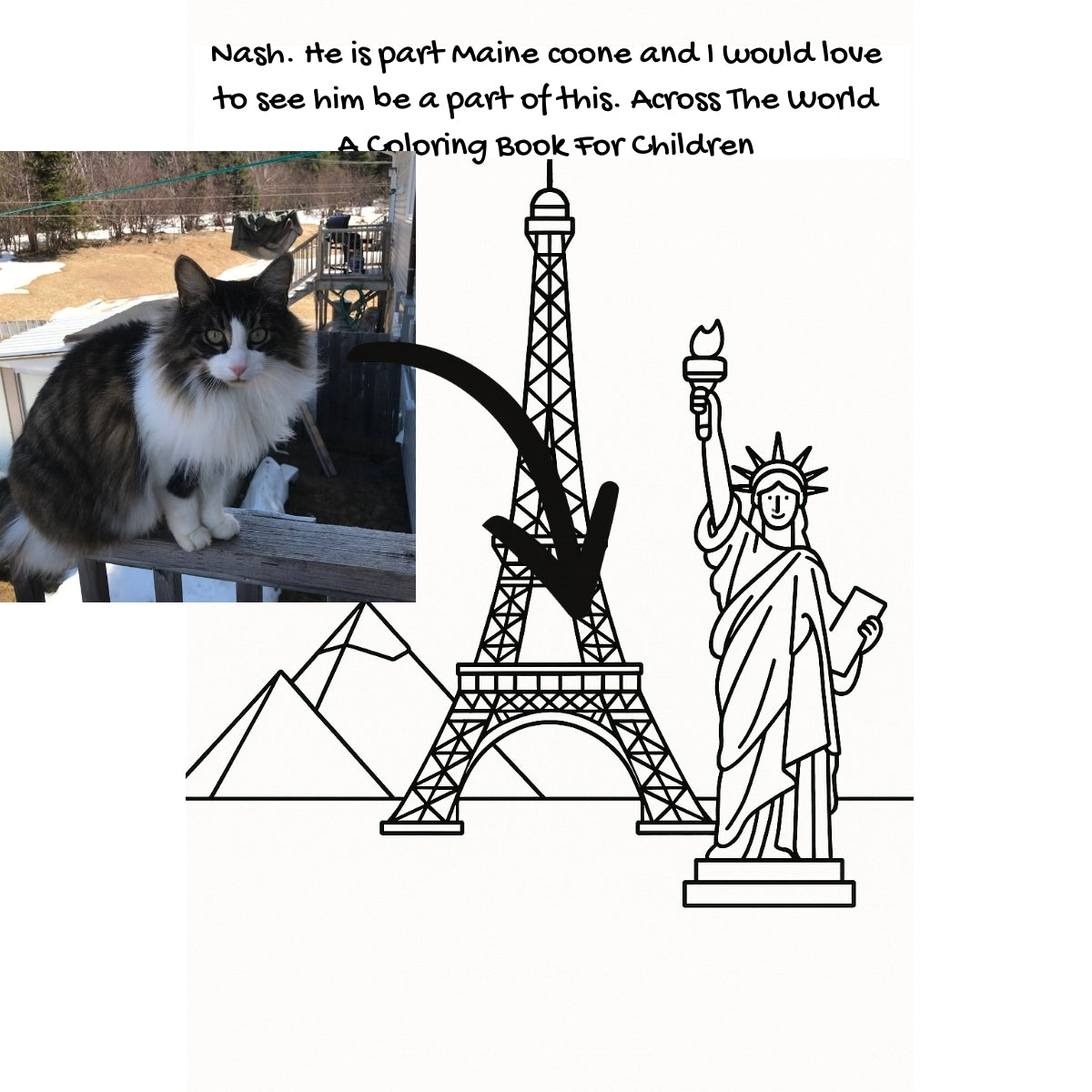 Nash. He is part Maine coone and I would love to see him be a part of this. Across The World: A Coloring Book For Children