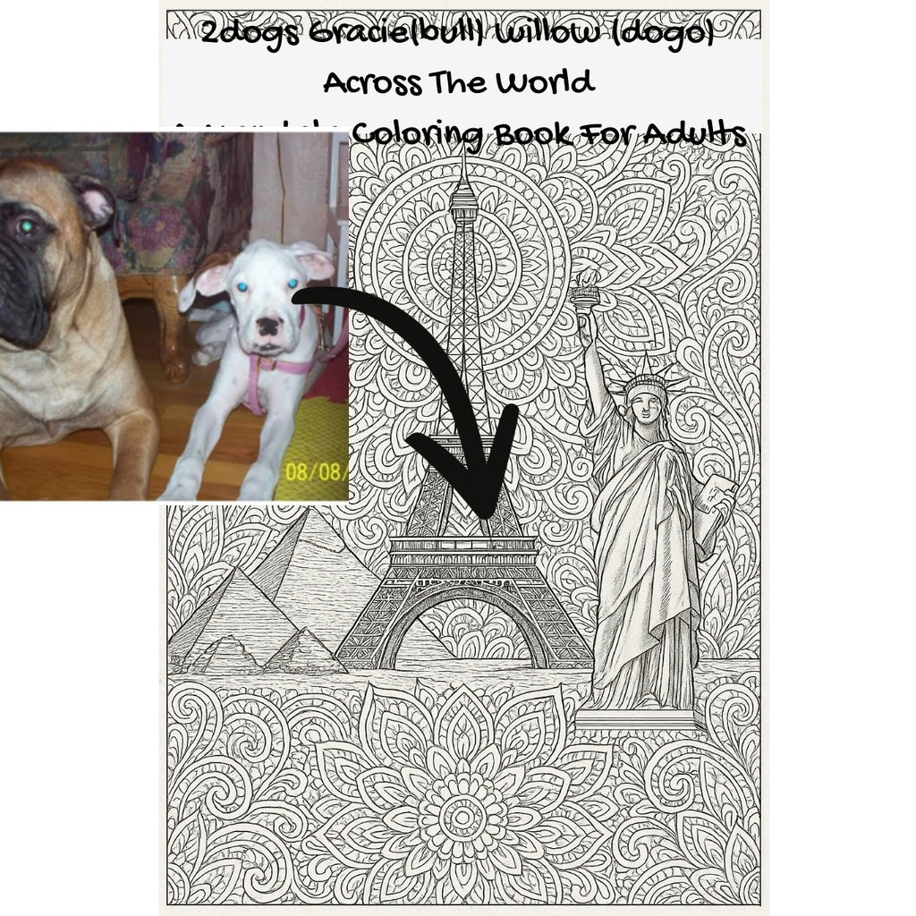 2dogs Gracie(bull) willow (dogo) Across The World: A Mandala Coloring Book For Adults