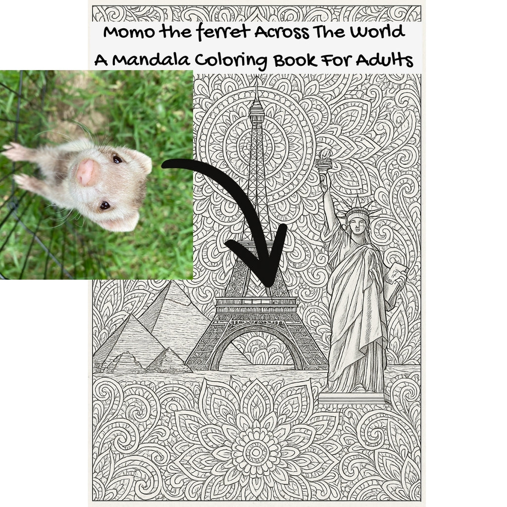 Momo the ferret Across The World: A Mandala Coloring Book For Adults